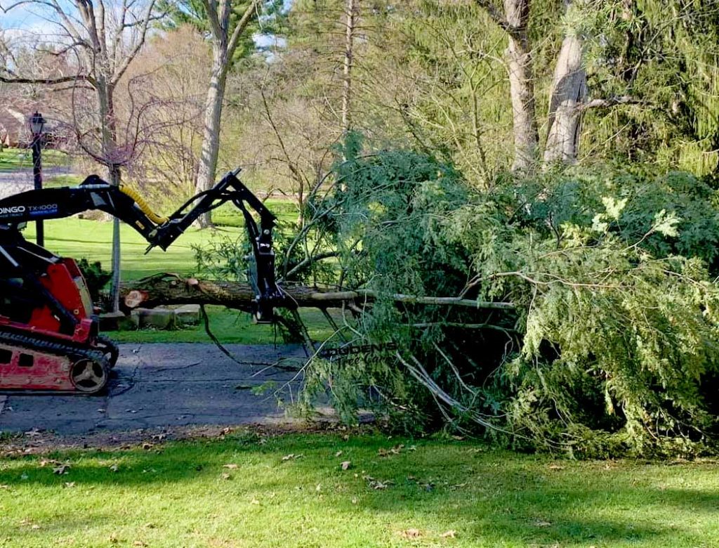 Emergency-Tree-Service