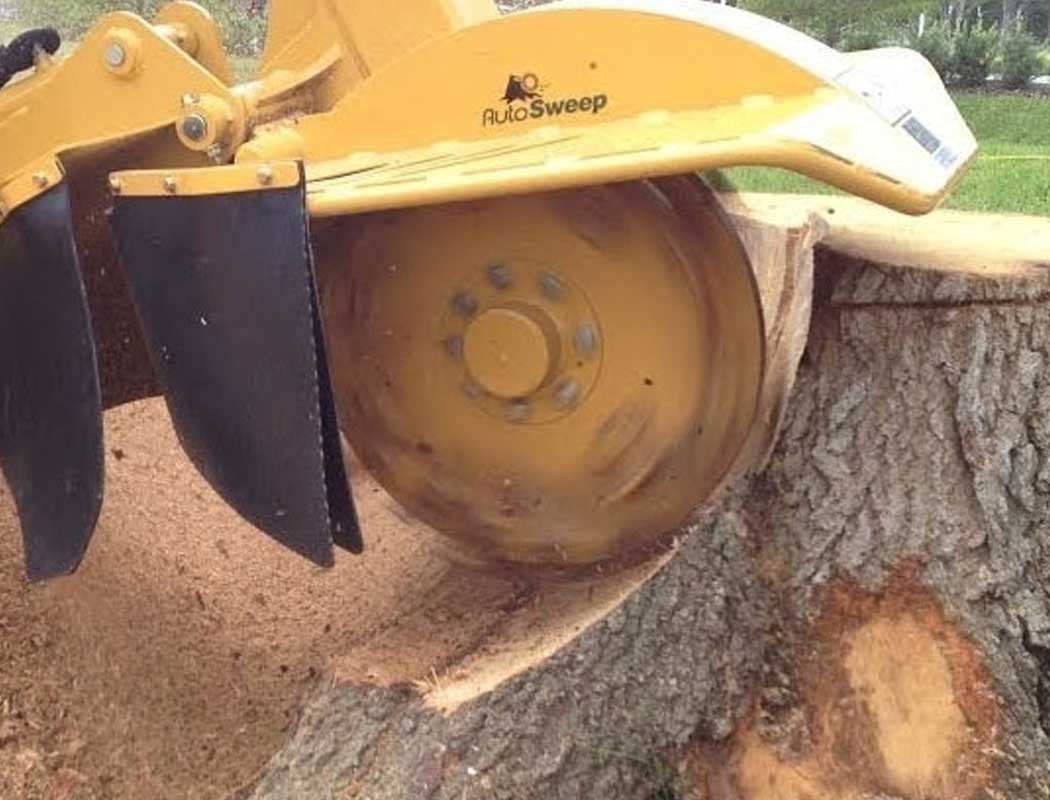 Stump Removal