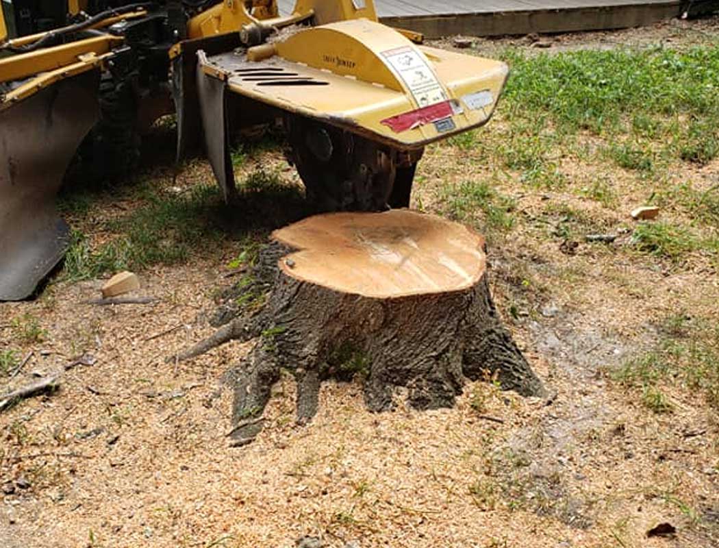 Stump Removal