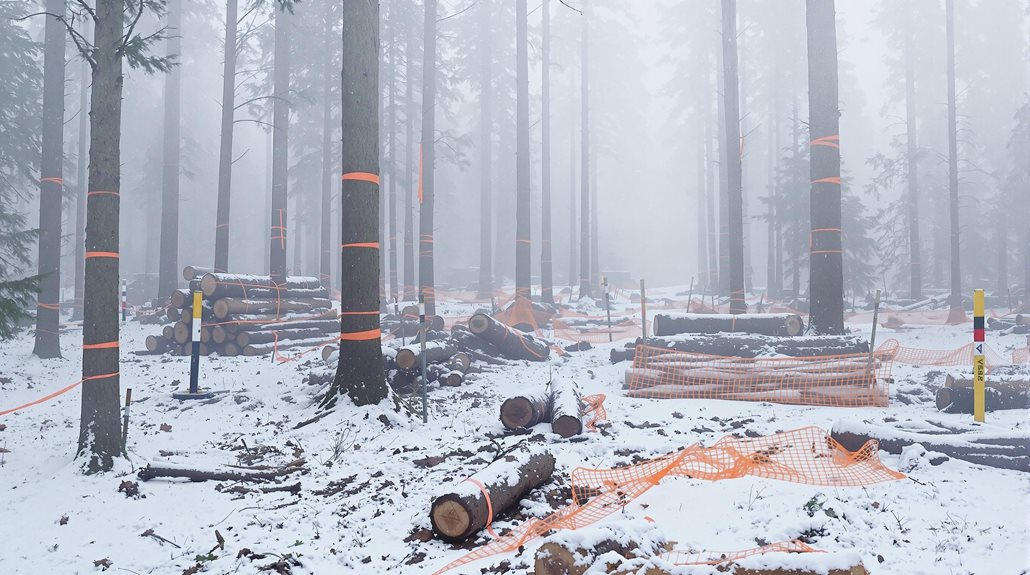 logging project with supervision